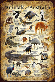 ANIMALS OF AUSTRALIA