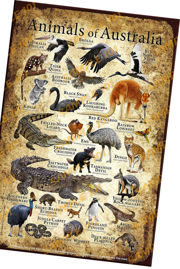 ANIMALS OF AUSTRALIA