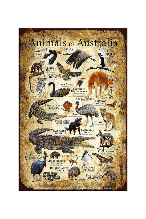 ANIMALS OF AUSTRALIA