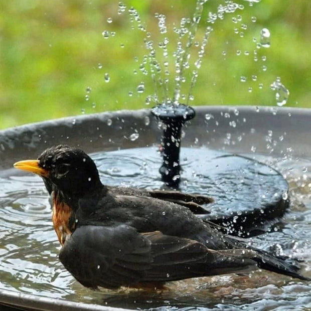 ** VIVII Solar Powered Bird Bath Fountain Pump - Enhance Your Garden with Eco-Friendly Water Feature****