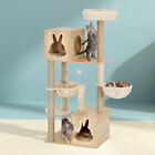 i.Pet Cat Tree Tower Scratching Post Scratcher 141cm Wood Bed Condo House Ladder