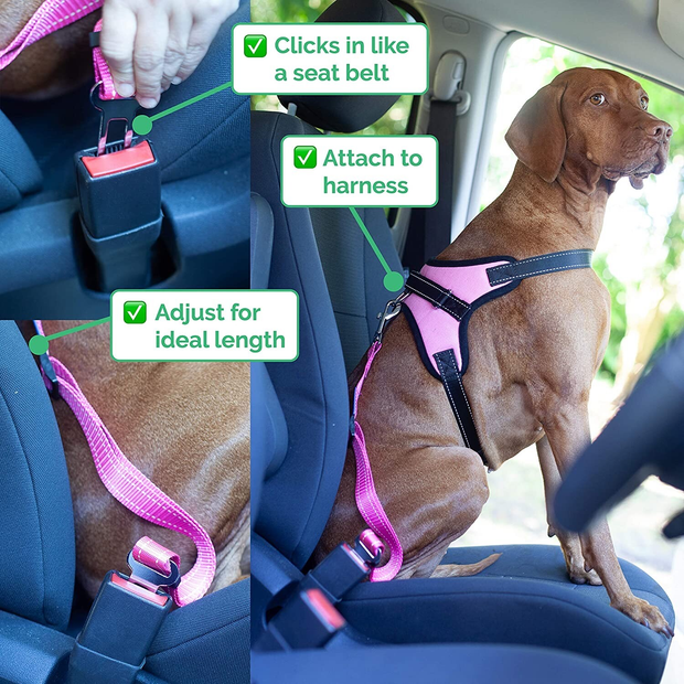 Zenify Dog Car Seat Belt Seatbelt Lead Puppy Harness - Heavy Duty Adjustable Car