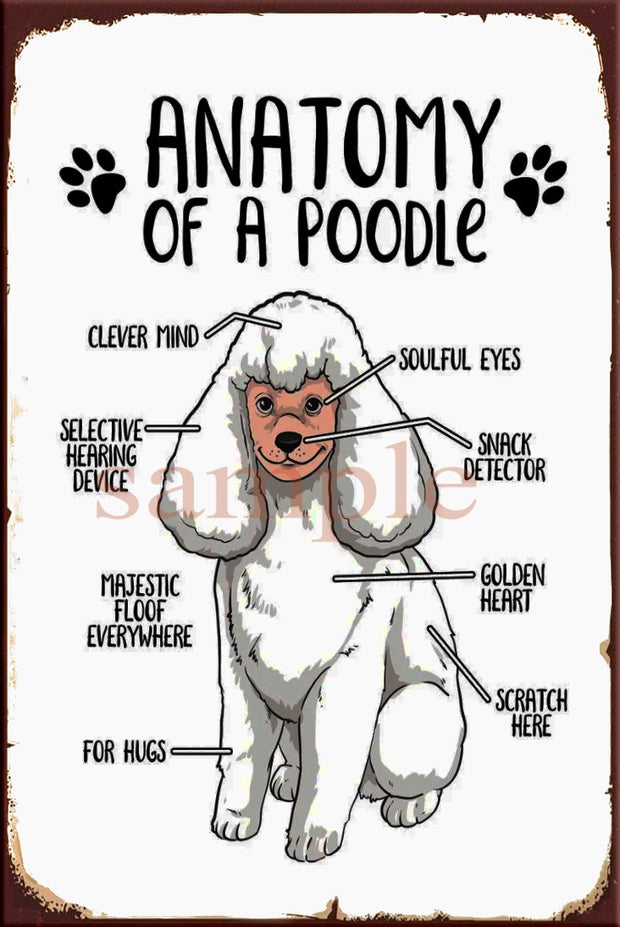 ANATOMY OF A POODLE Retro/ Vintage Wall Home Décor, Shed-Garage and Bar Tin Metal Sign