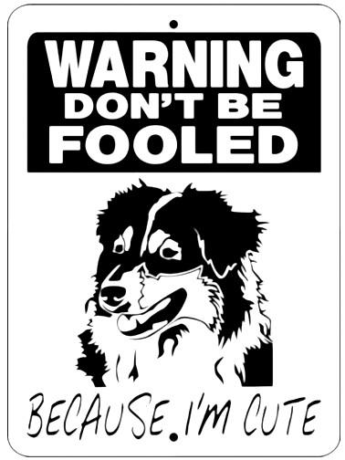 WARNING DON'T BE FOOLED Retro/ Vintage Tin Metal Sign Man Cave, Wall Home Decor, Shed-Garage, and Bar