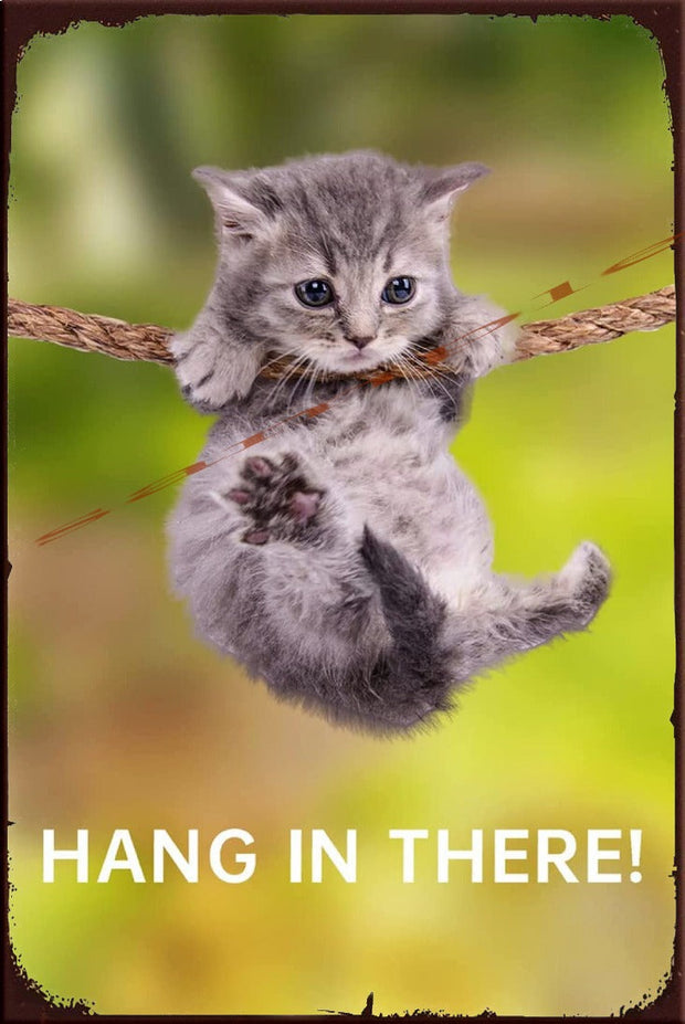 hang in there kitten